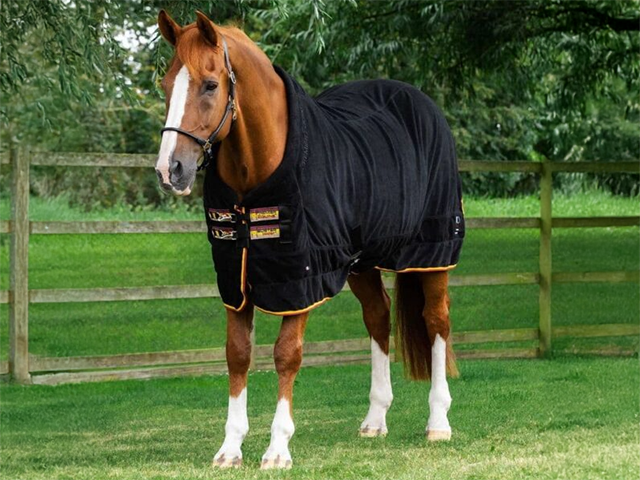 Branded Clothing