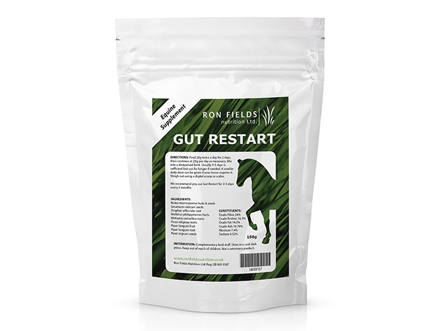 Equine Digestion