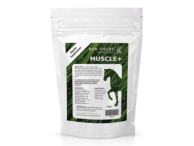 Equine Performance & Recovery