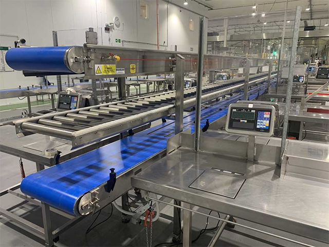 Complete Bespoke Conveyor Design
