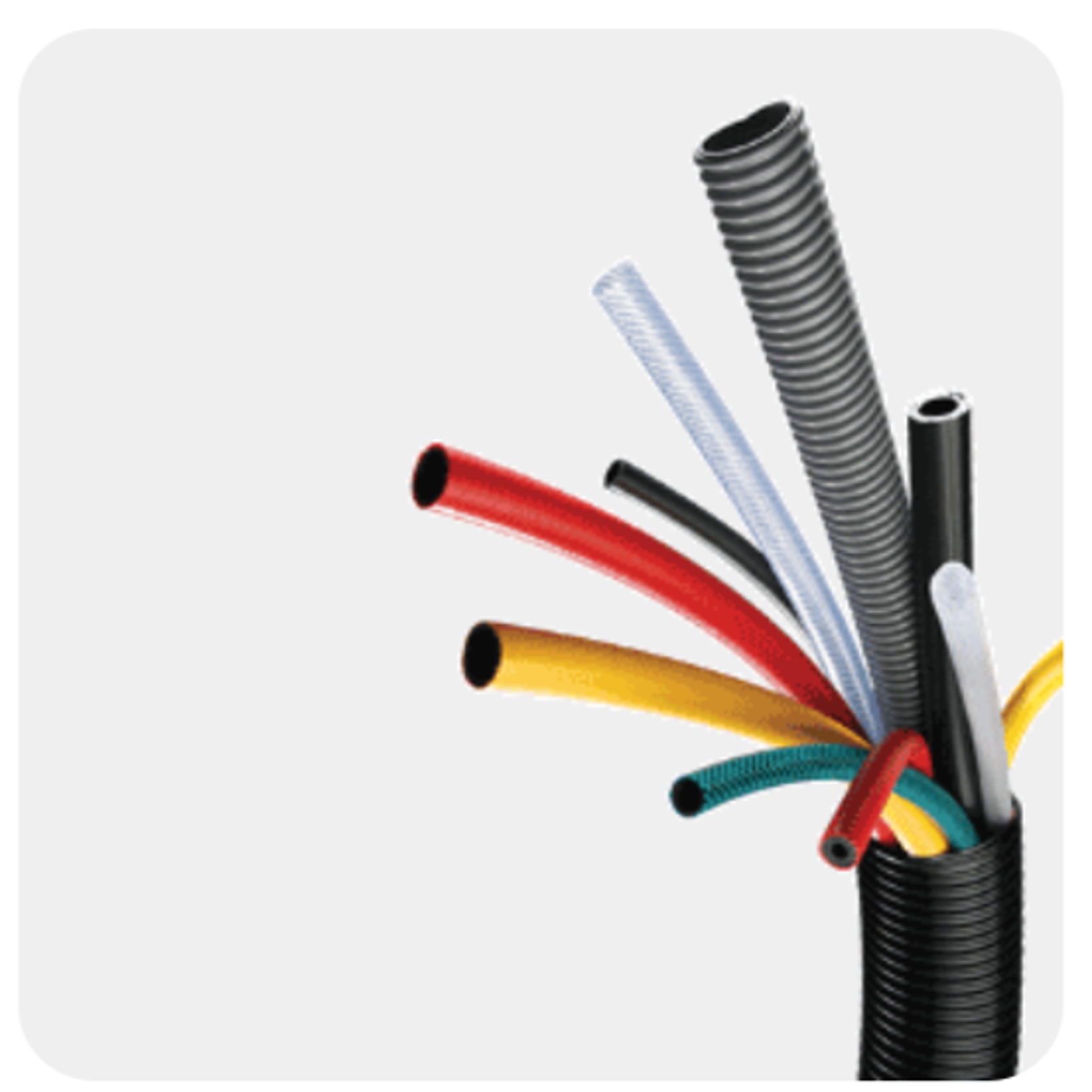Main image for IFPP Ltd