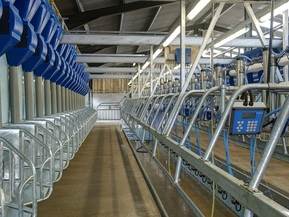 Handrails - Dairy Milking Plant