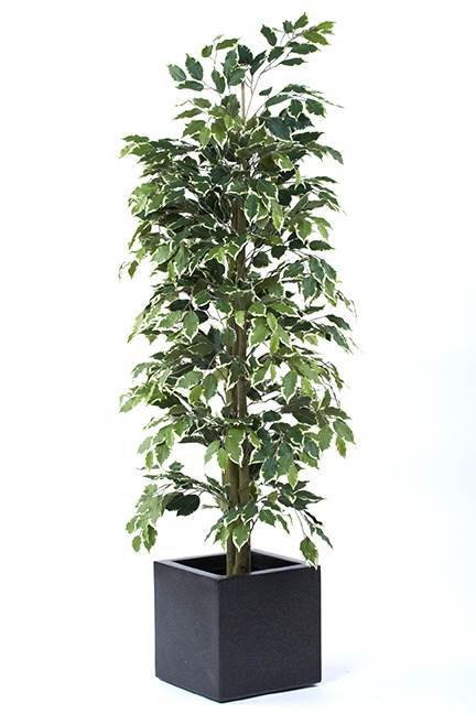 January discount offer on our premium quality Artificial Plants and Trees