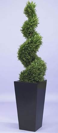 Artificial Topiary Trees for a festive looking doorway this Christmas