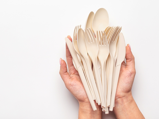 Biodegradable Disposables