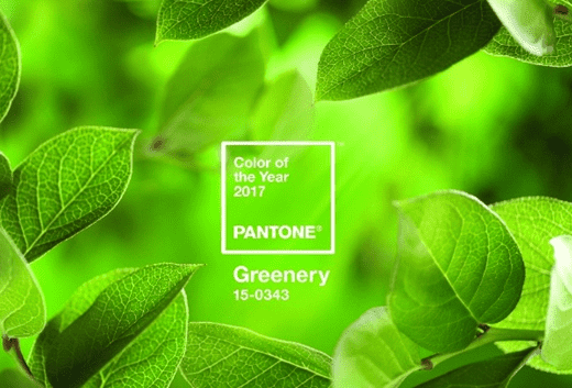 Pantone Colour of the Year 2017 is... 