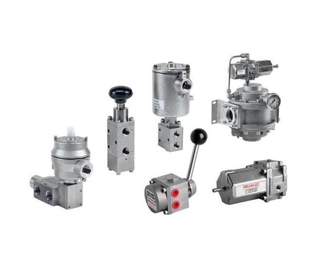 Pneumatic Valves and Manifolds 