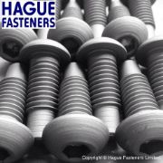 Non Standard Button Screws