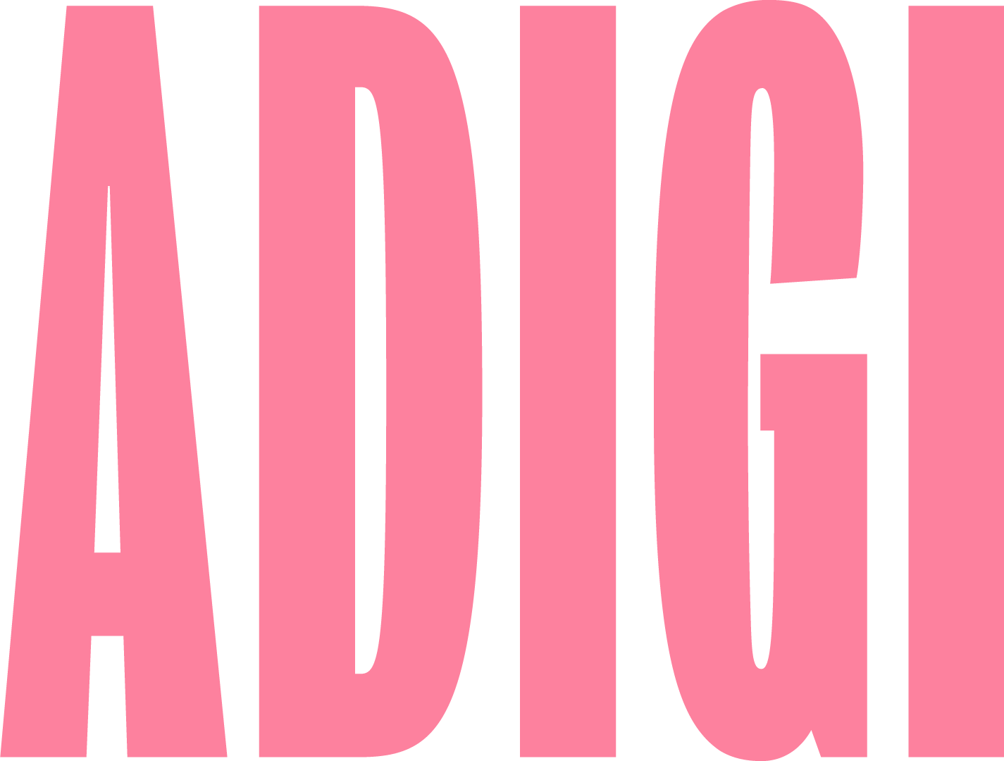 Adigi Agency