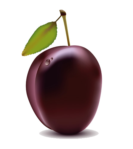 Plum Marketing Solutions Ltd