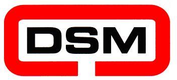 DSM Industrial Engineering Ltd