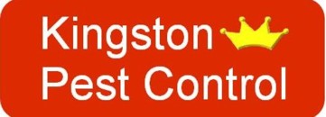 Kingston Pest control