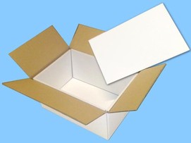 Elro Packaging
