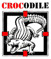 Crocodile - Pallet Boxes