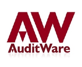 AuditWare Systems Limited