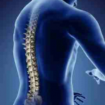 The Compton Clinic Osteopaths Logo