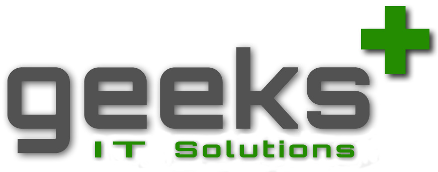 geeks+ IT Solutions Ltd