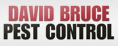 David Bruce Pest Control