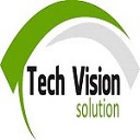 Techvision Solution-Best Affordable SEO Service Provider