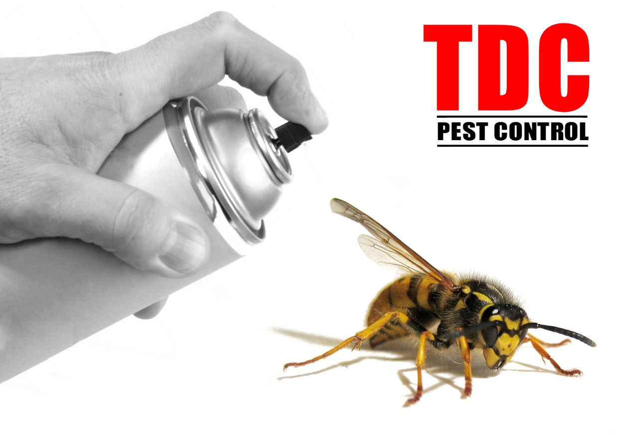 TDC Pest Control