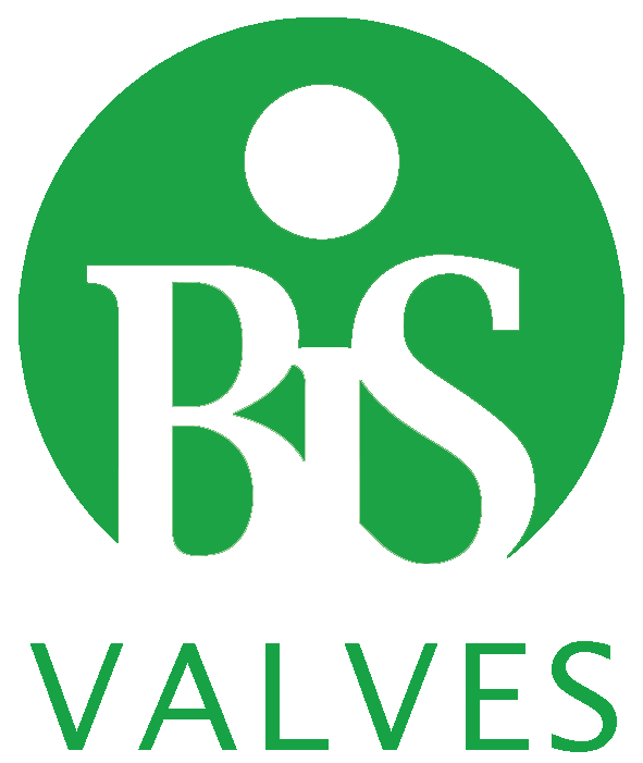 BiS Valves Ltd