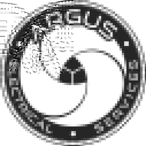 Argus Electrical Services Ltd