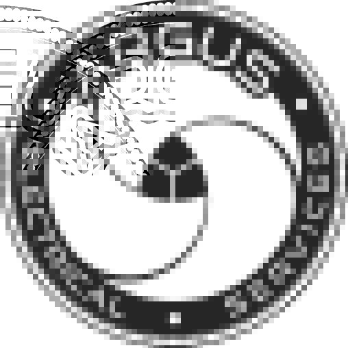 Argus Electrical Services Ltd
