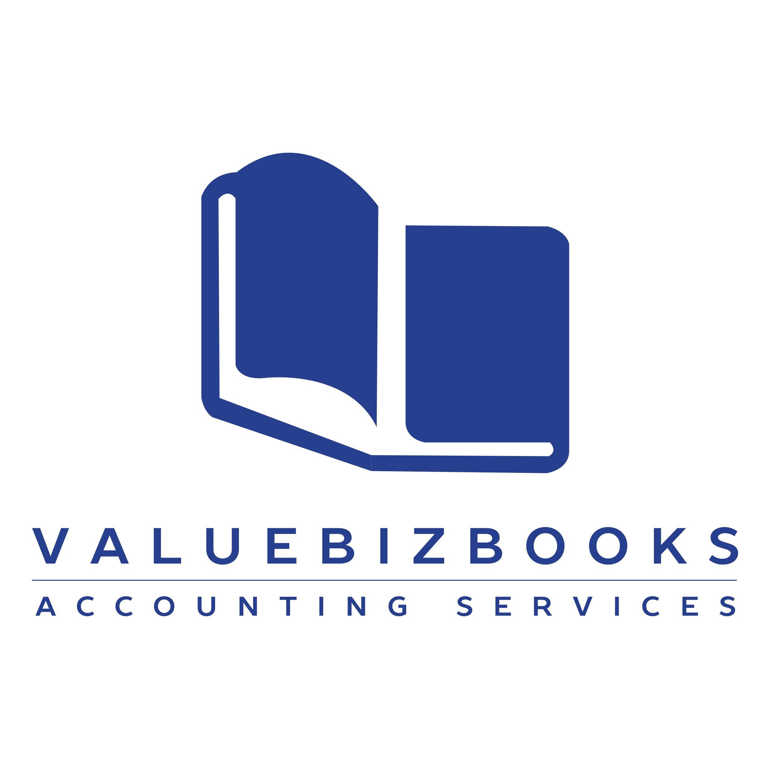 ValueBizBooks