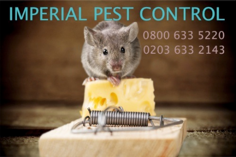 Imperial Pest Control London