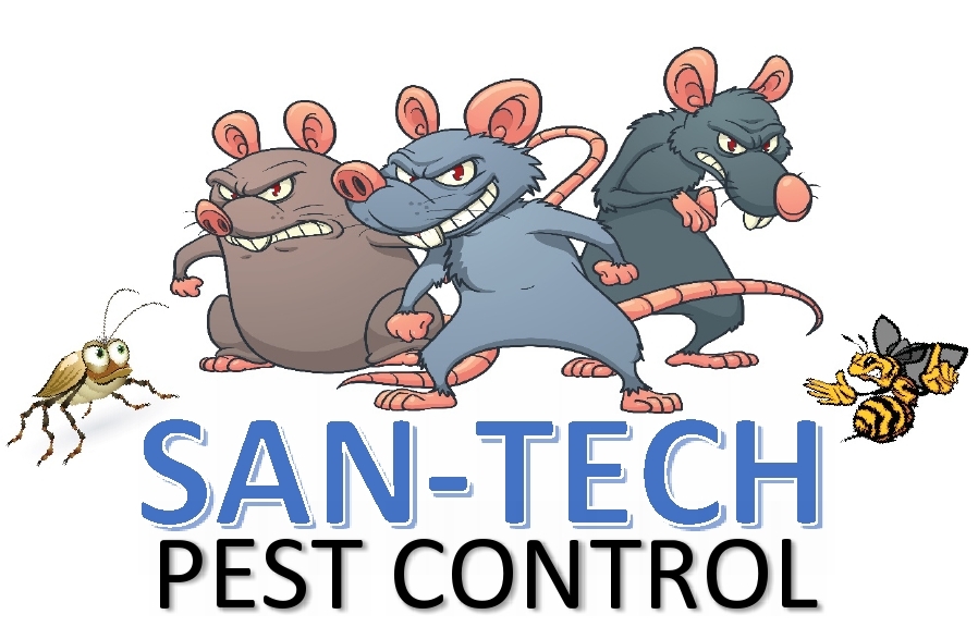 San-tech - Pest Control Bexhill, Hastings and Eastbourne