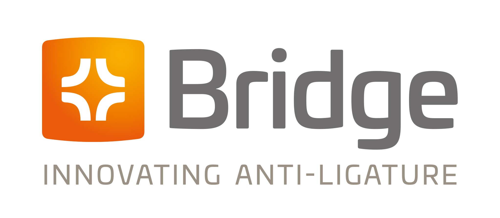 Bridge Anti-Ligature