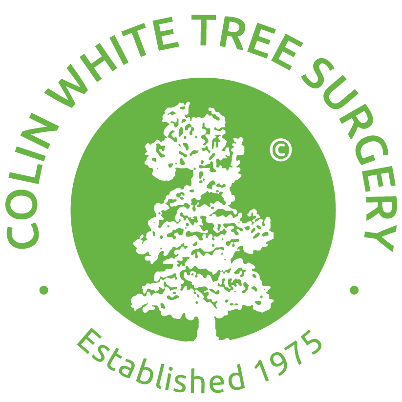Colin White Tree Surgery