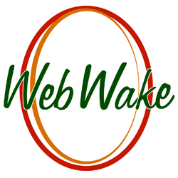 WebWake Website Design