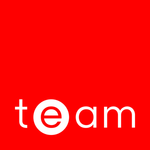 TEAM (Energy Auditing Agency Ltd.)