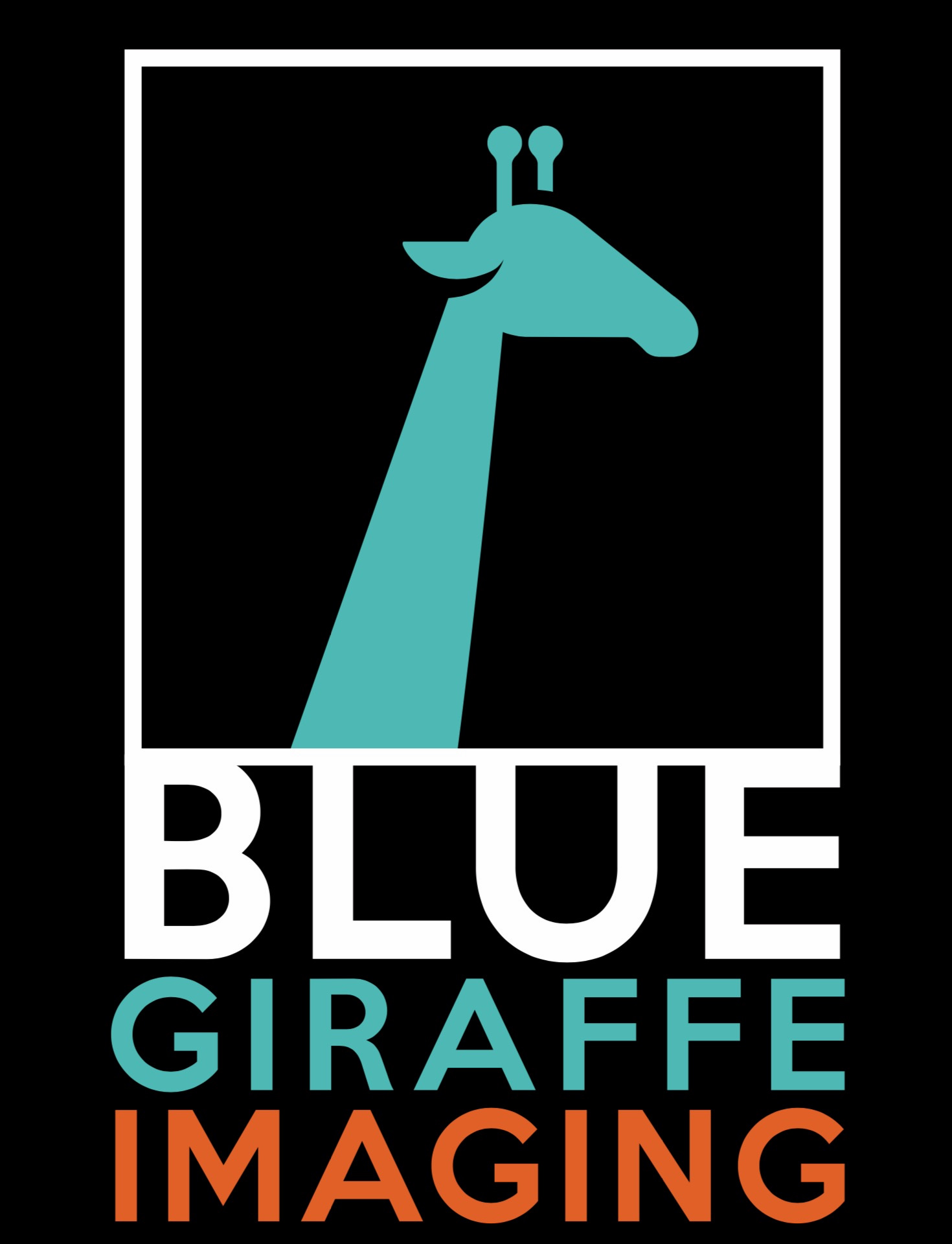 Blue Giraffe Imaging 
