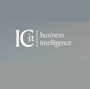 ICit Business Intelligence