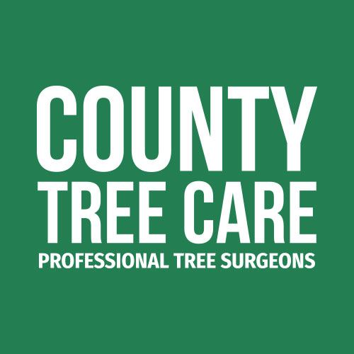 County Tree Care