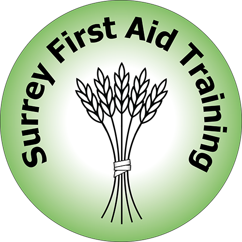 Surrey First Aid Training Ltd