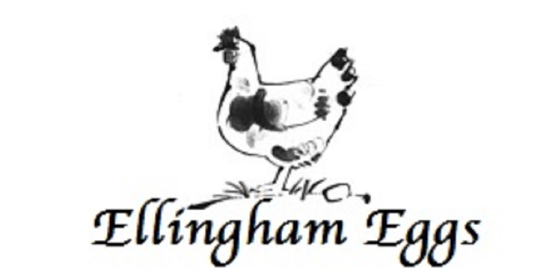 ellingham eggs