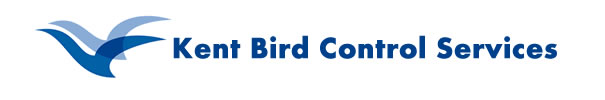 Kent Bird Control Services