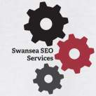 Swansea SEO Services