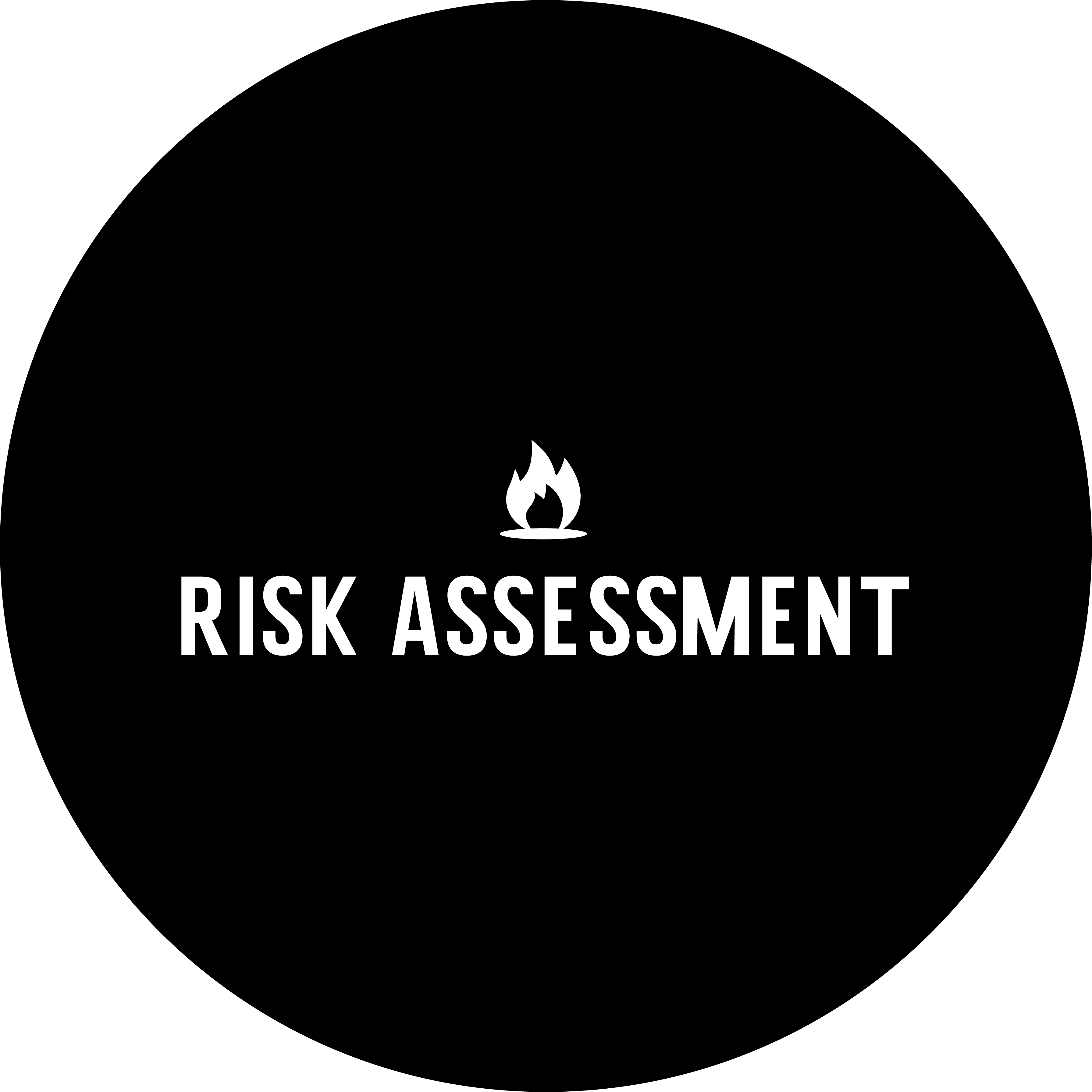 Risk Assessment Ltd