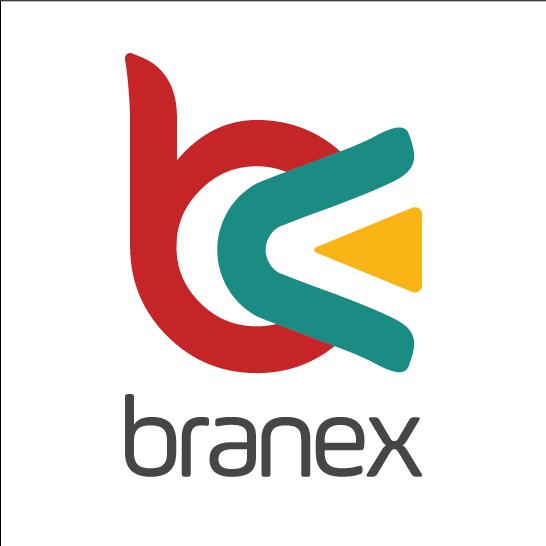 Branex-Web Design Agency In UK