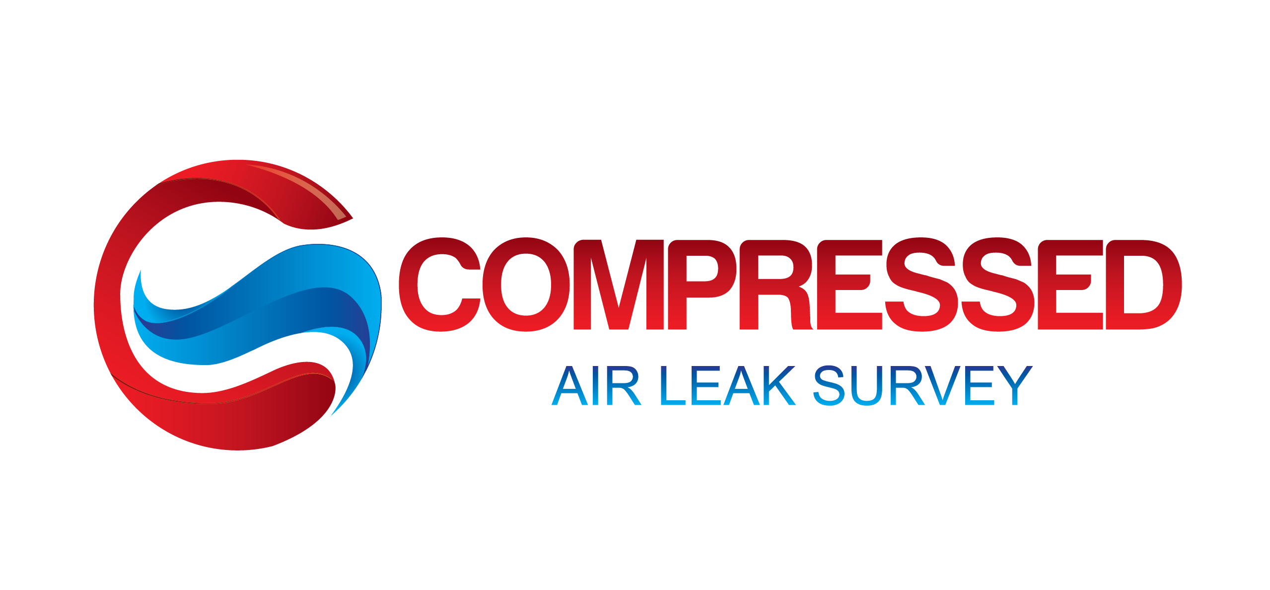 Compressed Air Leak Survey