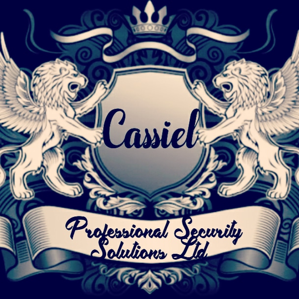 CASSIEL PROFESSIONAL SECURITY SOLUTIONS LTD 
