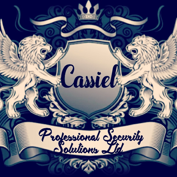 CASSIEL PROFESSIONAL SECURITY SOLUTIONS LTD 
