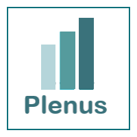 Plenus Consulting