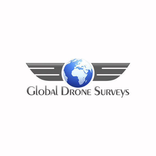Global Drone Surveys