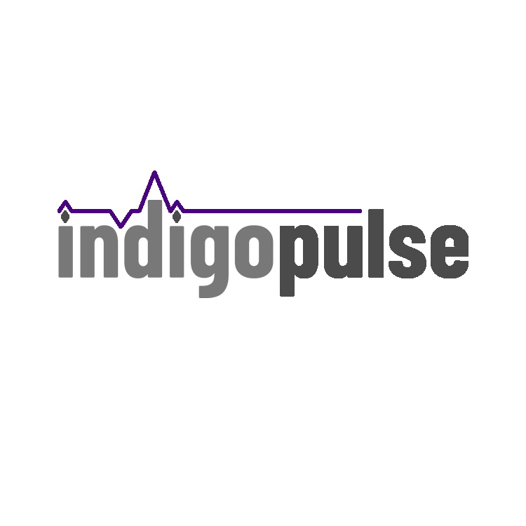 Indigo Pulse Ltd