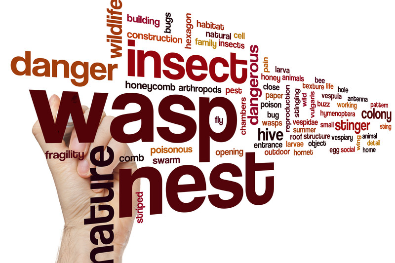 Essex Wasp Control